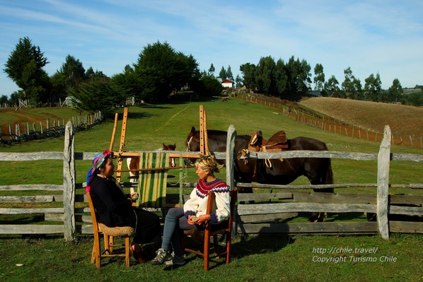 Rencontres et activités dans une communauté Mapuche