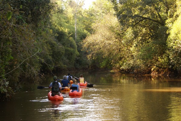 Balade en kayak dans une réserve naturelle protégée – Mésopotamie argentine