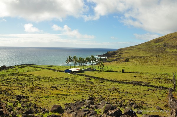 Randonnée côtière entre Akivi et Anakena - Ile de Pâques