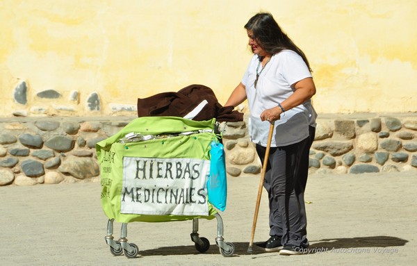 Vendeuse d’herbes médicinales – Cachi -  Province de Salta
