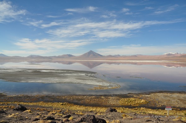La Laguna Colorada au lever du soleil - Bolivie