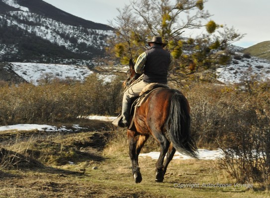 Un Gaucho à la poursuite de son troupeau – Parc National Torres del Paine