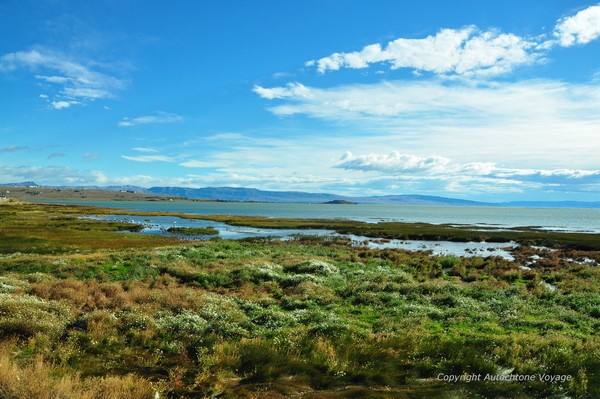 Abords du Lac Argentino – El Calafate