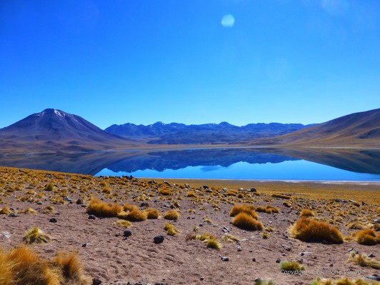 La Laguna et le Volcan Miscanti – Salar d’Atacama