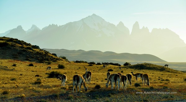 Arrivée dans le Parc Torres del Paine – Secteur Lago Sarmiento